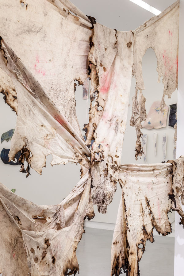 Manuelmathieunegroland219 31