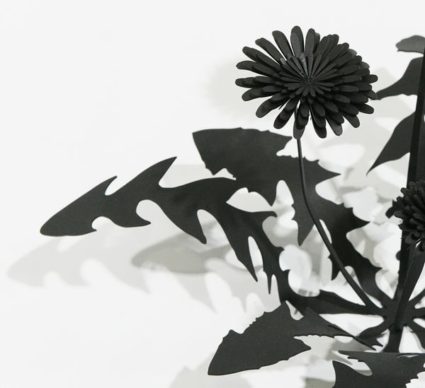 Faith In The Seeds 1 1