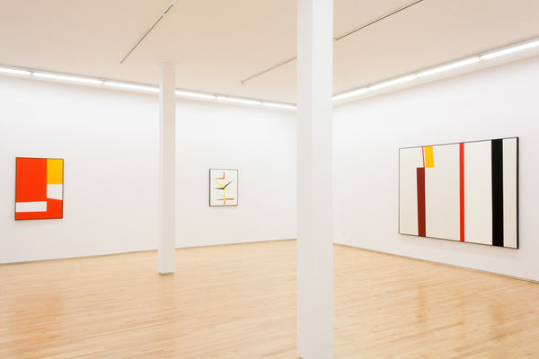 Clare Rojas, Spaces In Between