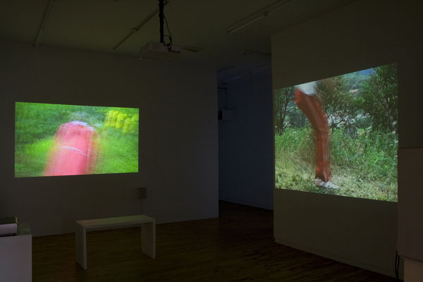 Ankica Marjanovic, Kavi Gupta | 835 W. Washington Blvd. Chicago, IL, 60607