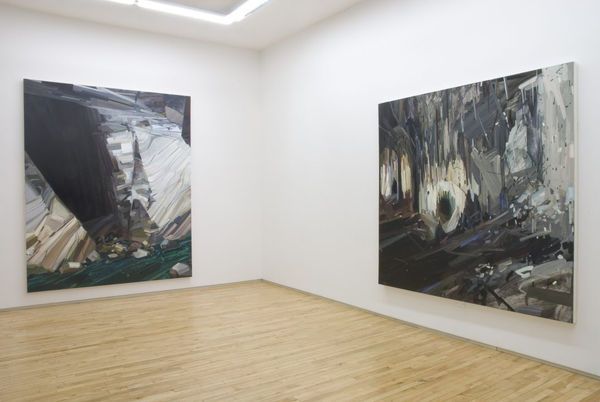 Claire Sherman, Palms Wild, Kavi Gupta | 835 W. Washington Blvd. Chicago, IL, 60607