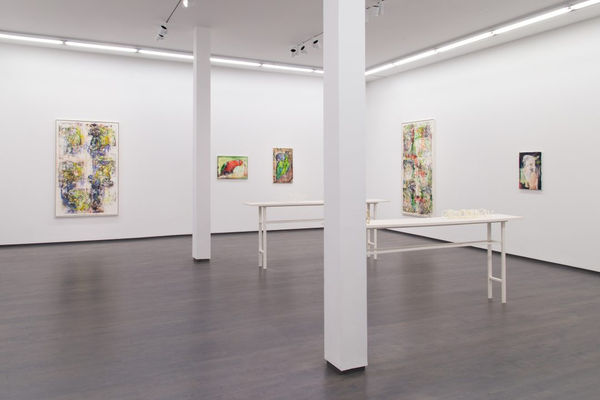 James Krone, An Ornithology For Birds, Kavi Gupta | 835 W. Washington Blvd. Chicago, IL, 60607