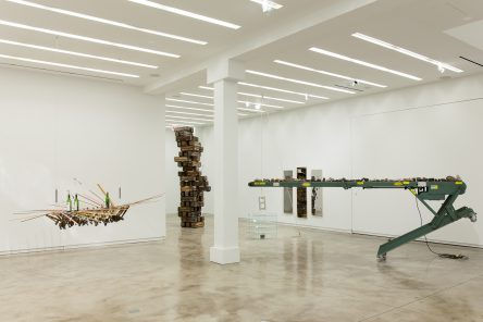 Glenn Kaino Leviathan, 2014, Kavi Gupta | Elizabeth St.