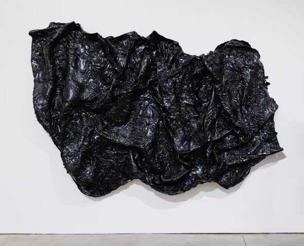 Allana Clarke, Solace, 2020. 30 Second super hair bonding glue (rubber latex, black carbon dye, Ammonium Hydroxide), 66 x 114 x 12 in