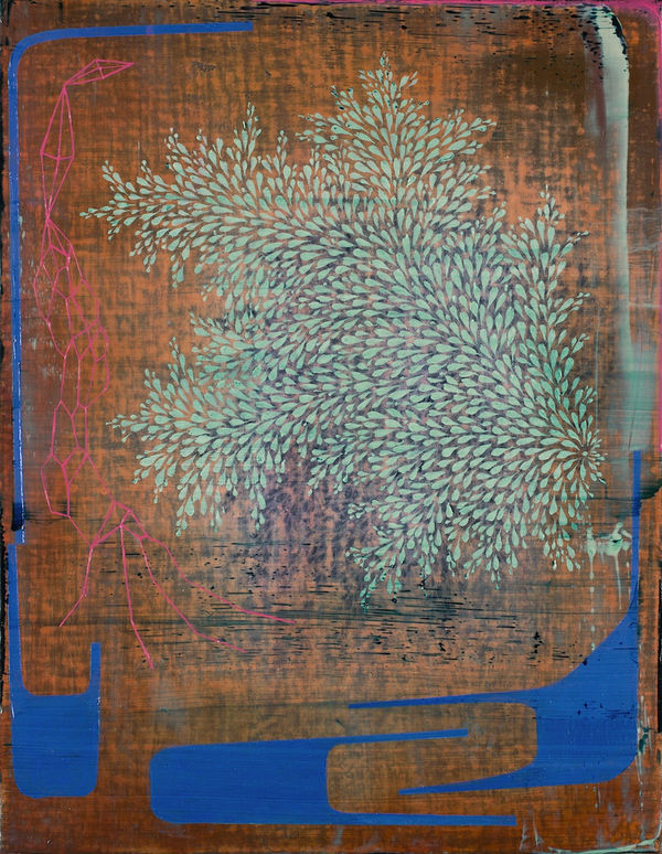 Brownnightclimb13 5X10 63