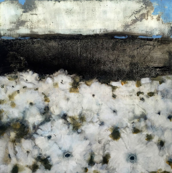 Konigsfieldofwhites24X24Hrsold