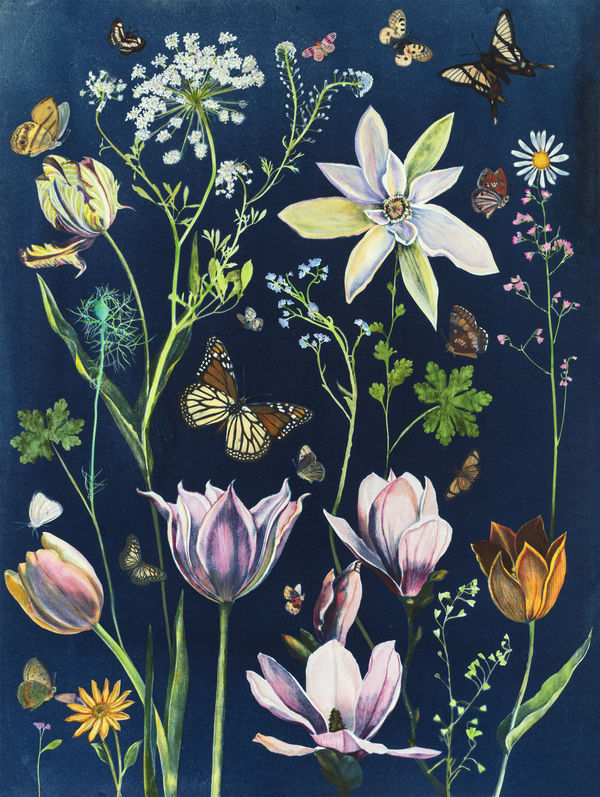 Propagation Annex Space