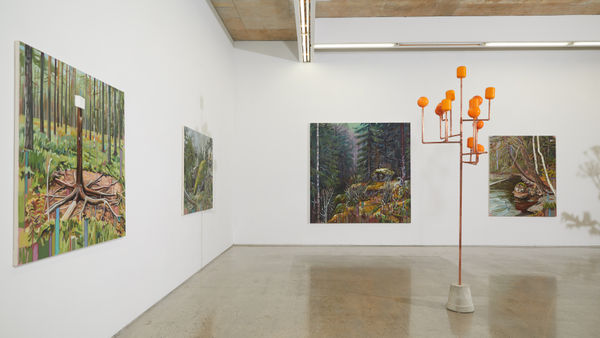 Cecilia Danell Installation Opt01