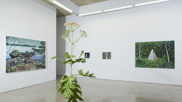 Cecilia Danell Installation Opt06