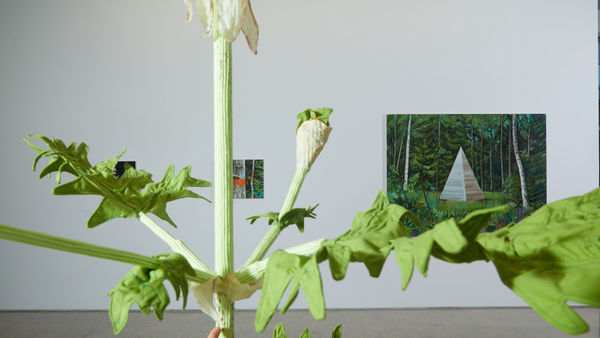 Cecilia Danell Installation Opt07