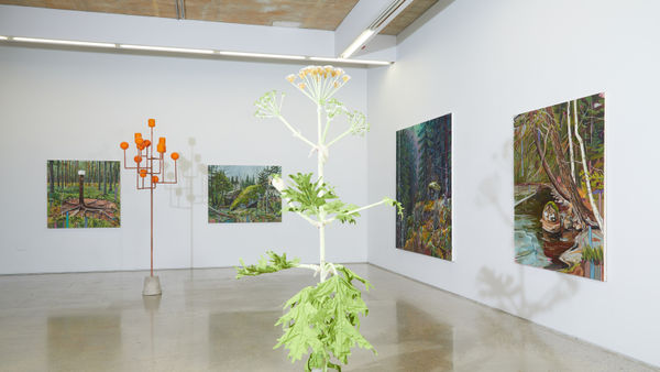 Cecilia Danell Installation Opt08