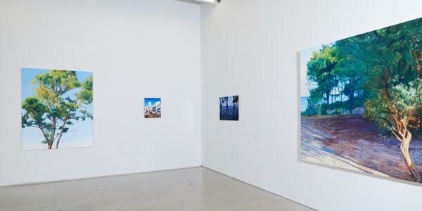 Paul Mckinley Installation 05