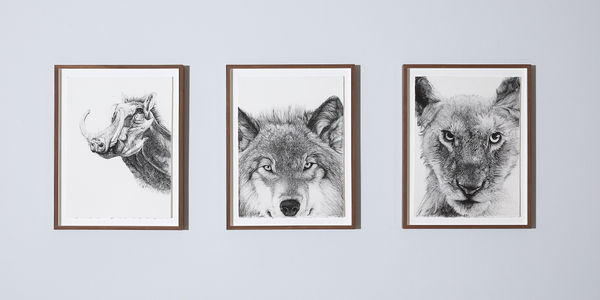 Paul Mckinley Installation 10