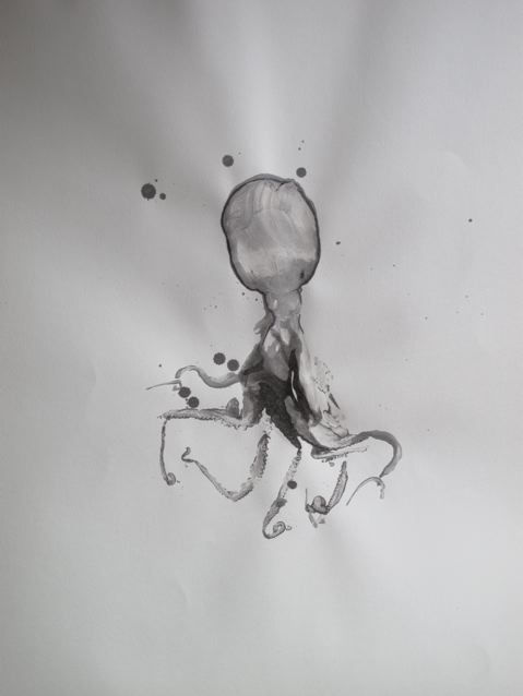 DOUGLAS WHITE, OCTOPUS DRAWINGS, 2010