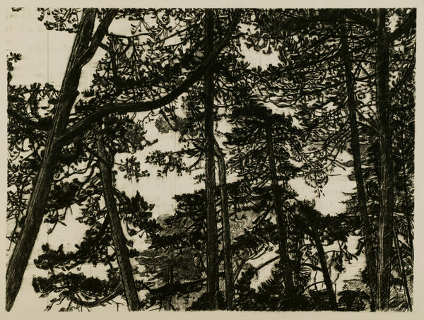 Arcadia III, charcoal on paper, 2004