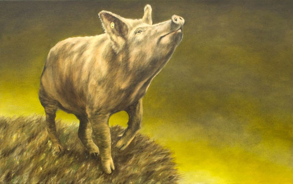 DERMOT SEYMOUR, STORM PIG, 2008