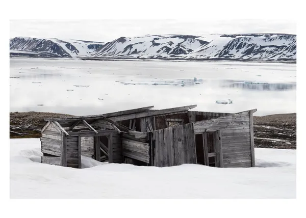 Elaine Byrne - Whenceness, 2016