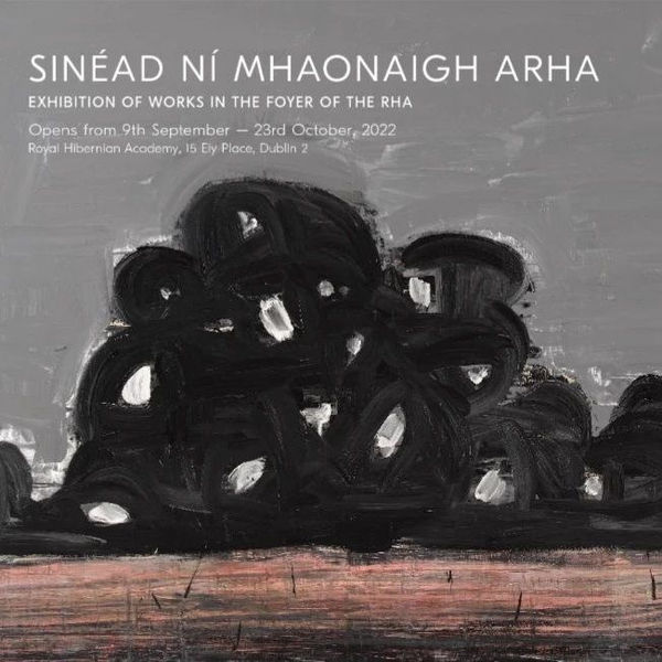 Sinéad Ní Mhaonaigh | Exhibition of Works In The Foyer of The RHA