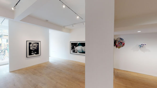 Kristin Haljellegerde Wandsworth Rupercht Von Kaufdman 01272020 092324