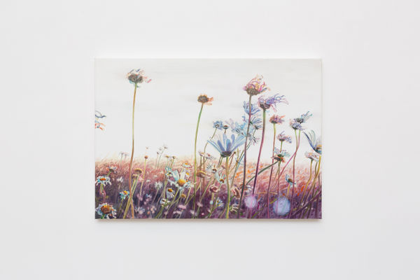 Untitled Bjdeakin Photography 8998