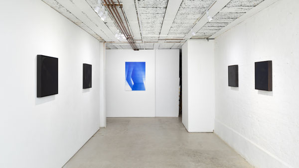 Bertramhasenauer Bjdeakinphotography 4646 2