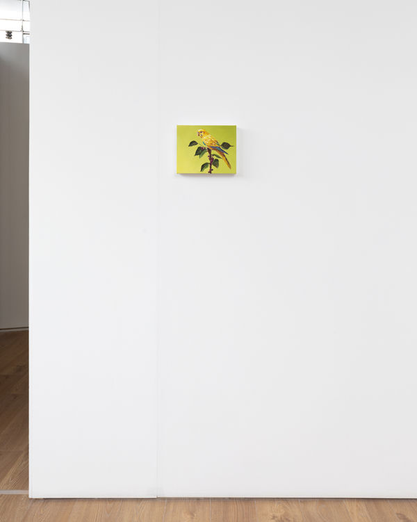 Falloftheromanempire Bjdeakinphotography 7222