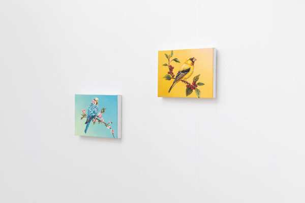 Falloftheromanempire Bjdeakinphotography 7309