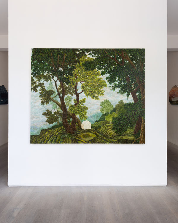 Amirhosseinbayani Bjdeakin Photograpy 1016