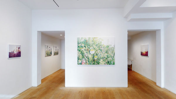 Vibeke Slyngstad 'Dor Beetles Slumbering at Dusk'