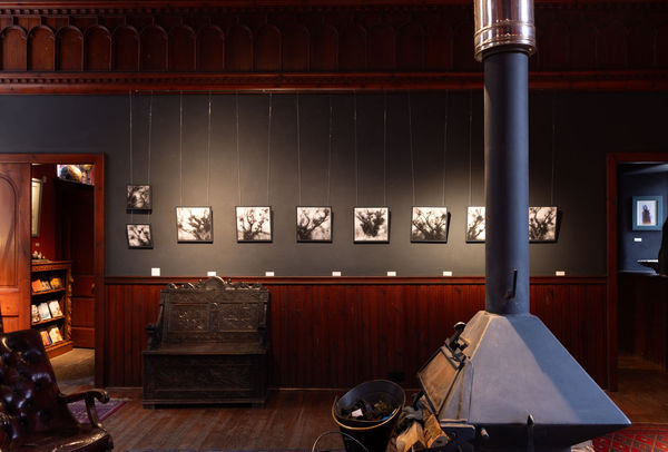 Gallery Tansy Lee Moir