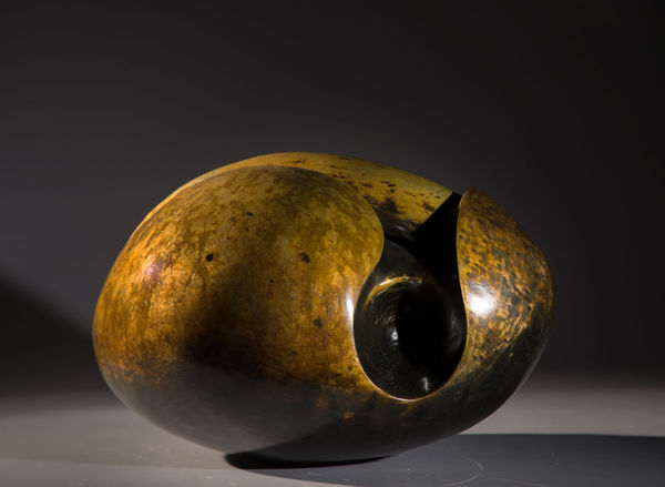 Beaked Bird | STEVE DILWORTH