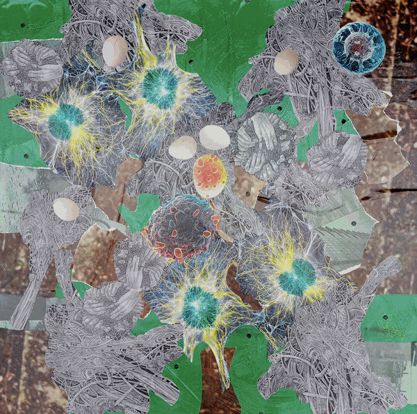 Odun Orimolade: 4939