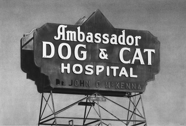 Eric Nash, Ambassador Dog & Cat Hospital (click for details) Sold, 2021