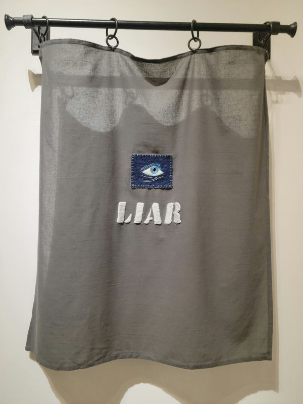 Samantha Harrison, Liar