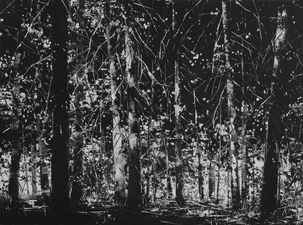 Todd Carpenter, Two Tone Discord