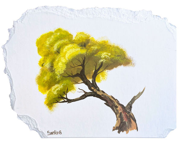 Greg Craola Simkins, Soda Pop Tree Study, 2024