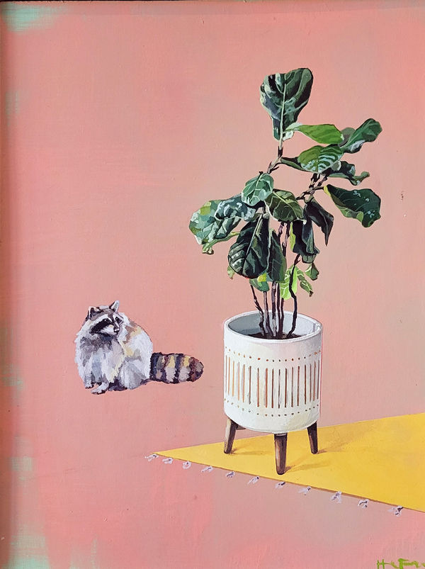 Holly Elander, Raccoon 4