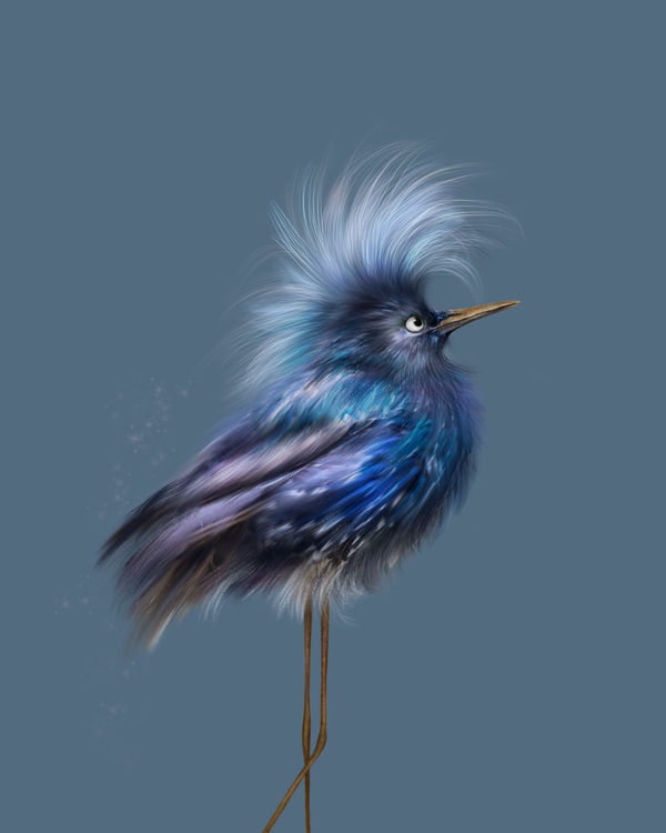 Peppa Potter, Little Blue Bird