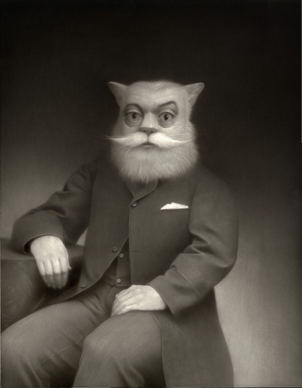 Travis Louie, Enrico the Cat