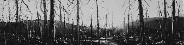 Todd Carpenter, Smoke has Fallen, SOLD