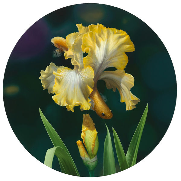 Jon Ching, Coalesce (click for details) SOLD, 2023