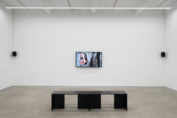 Hound, exhibition view, Kraupa&ndash;Tuskany Zeidler, Berlin, 2023