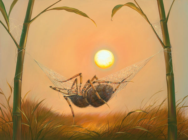 "IN A WEB OF BLISS" BY VLADIMIR KUSH