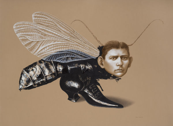 Rafael Trelles, The Metamorphosis, 2019