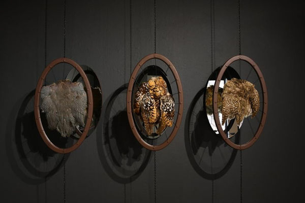 Dhara Rivera, Revisión (Revision), 2021