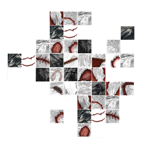 Dhara Rivera, Tisulares, 2021