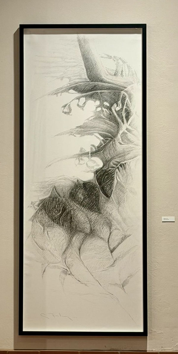 Carmelo Fontánez, Árboles, 2000