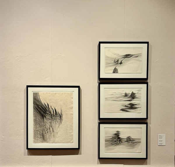 Carmelo Fontánez, Espiga and Isla de culebra, 1979, 1971