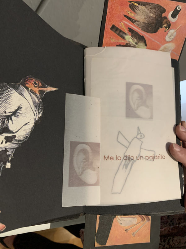 Dhara Rivera, Aves y Agüeros (Birds and Omens)