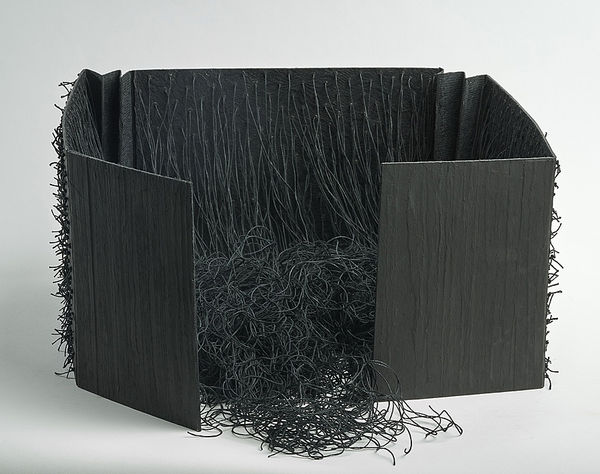 Debra Disman, Torrent and Tangle: Keep Your House in Order - 2019